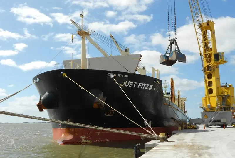 NAZENIN Bulk Carrier IMO 9545508 photo 3