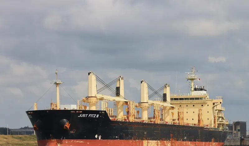 NAZENIN Bulk Carrier IMO 9545508 photo 4
