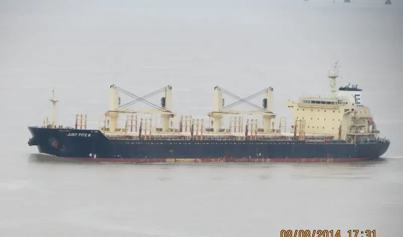 NAZENIN Bulk Carrier IMO 9545508 photo 7