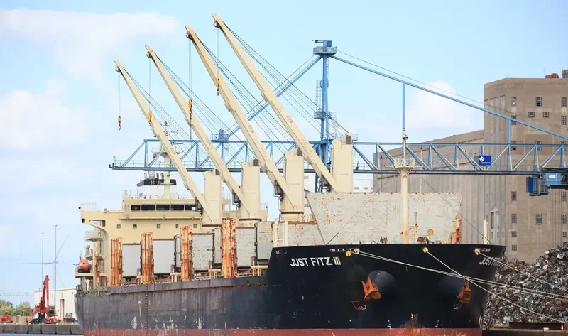 NAZENIN Bulk Carrier IMO 9545508 photo 9