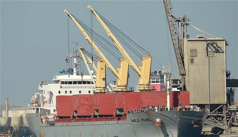 TRANSPACIFIC Bulk Carrier IMO 9545560 photo 2