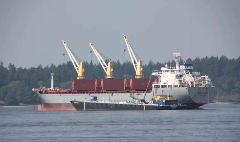 TRANSPACIFIC Bulk Carrier IMO 9545560 photo 4
