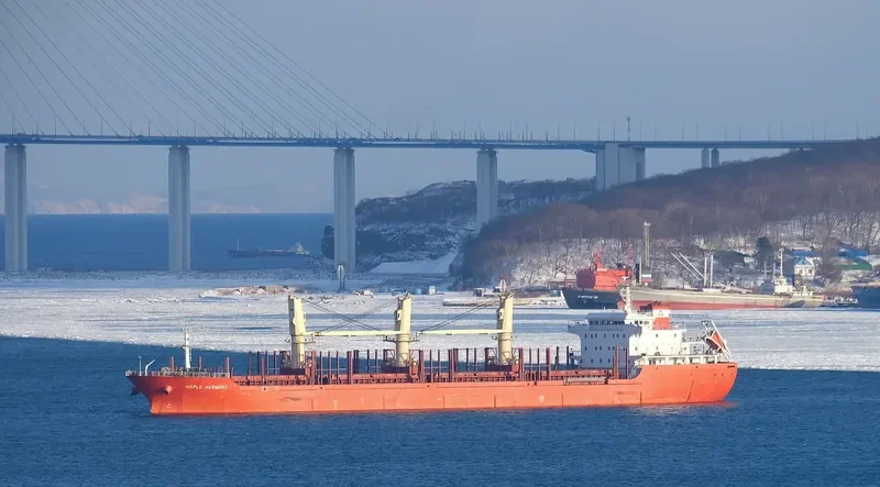 XIN ZHE Bulk Carrier IMO 9545572 photo 2