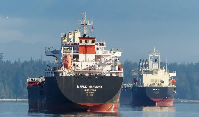 XIN ZHE Bulk Carrier IMO 9545572 photo 6