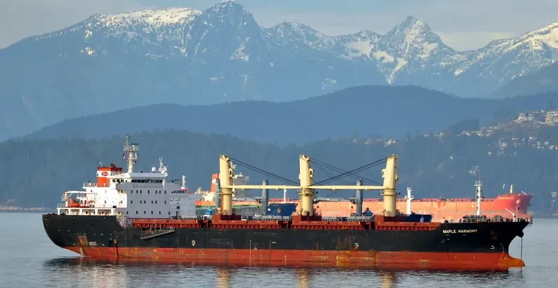 XIN ZHE Bulk Carrier IMO 9545572 photo 8