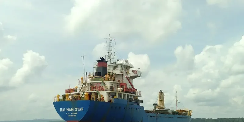 HAI NAM STAR Bulk Carrier IMO 9545742 photo 2
