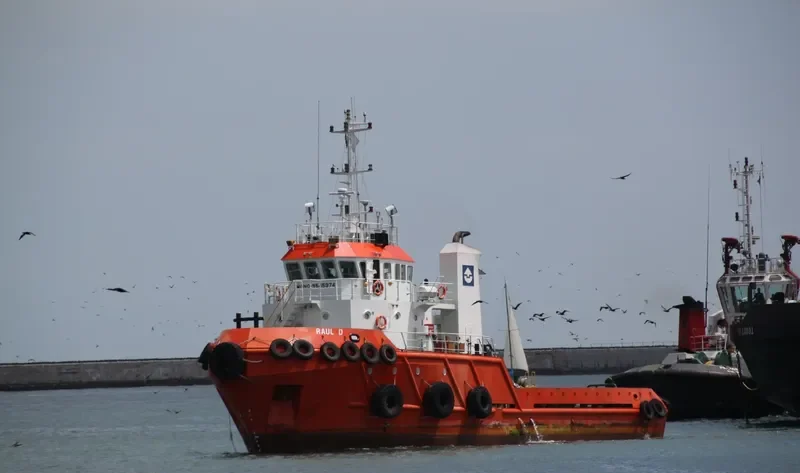 RAUL D General Cargo IMO 9545974 photo 7