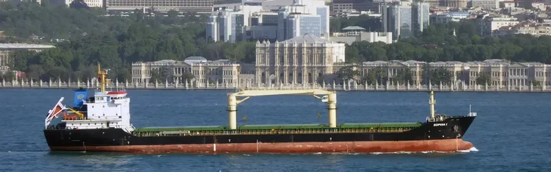 SOPHIA I General Cargo IMO 9546007 photo 4