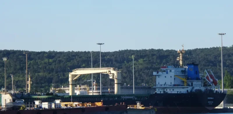 SOPHIA I General Cargo IMO 9546007 photo 5