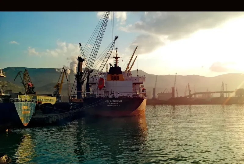 JIN ZHOU HAI Bulk Carrier IMO 9546083 photo 9