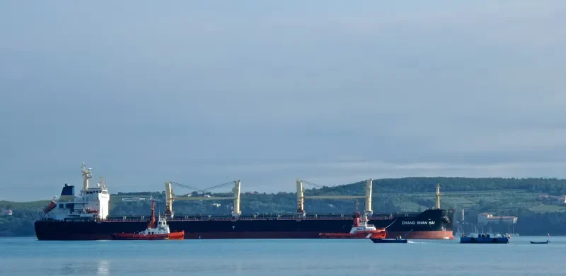 CHANG SHAN HAI Bulk Carrier IMO 9546100 photo 7