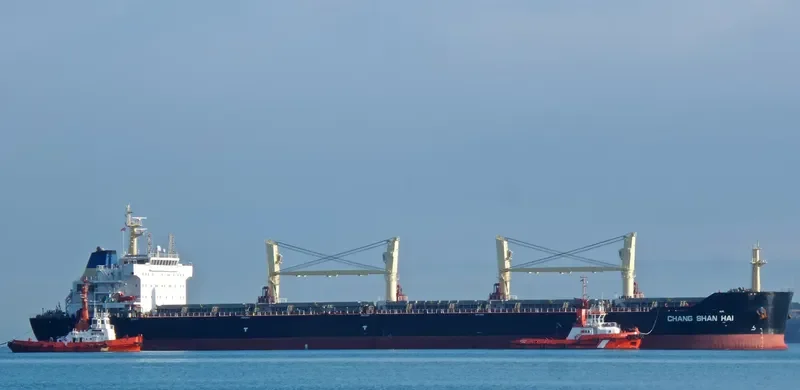 CHANG SHAN HAI Bulk Carrier IMO 9546100 photo 8