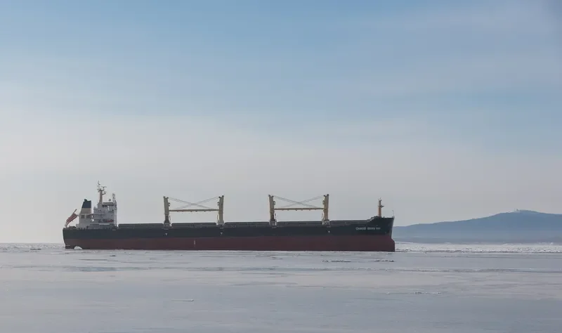 CHANG SHAN HAI Bulk Carrier IMO 9546100 photo 9
