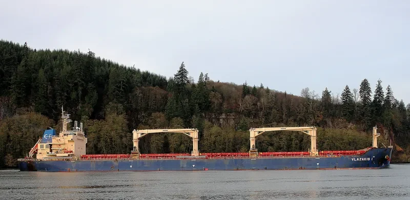 NIKITIS Bulk Carrier IMO 9546124 photo 3