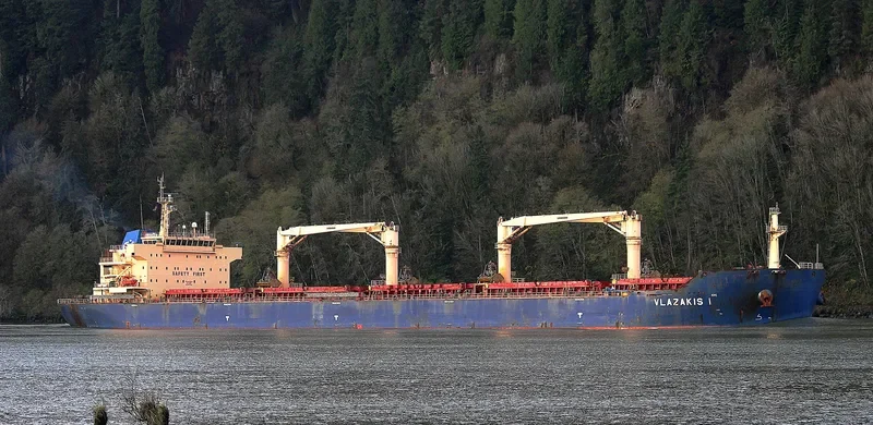 NIKITIS Bulk Carrier IMO 9546124 photo 4