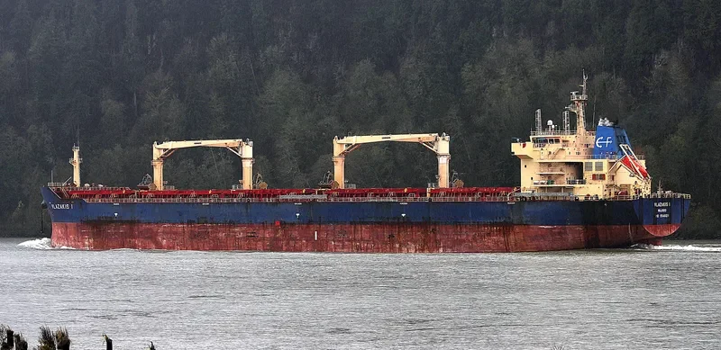 NIKITIS Bulk Carrier IMO 9546124 photo 5