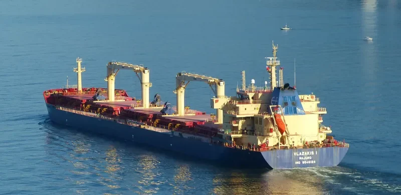NIKITIS Bulk Carrier IMO 9546124 photo 6
