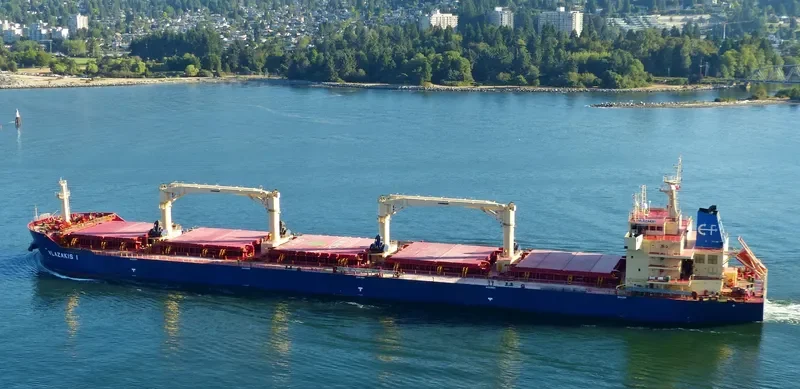 NIKITIS Bulk Carrier IMO 9546124 photo 7