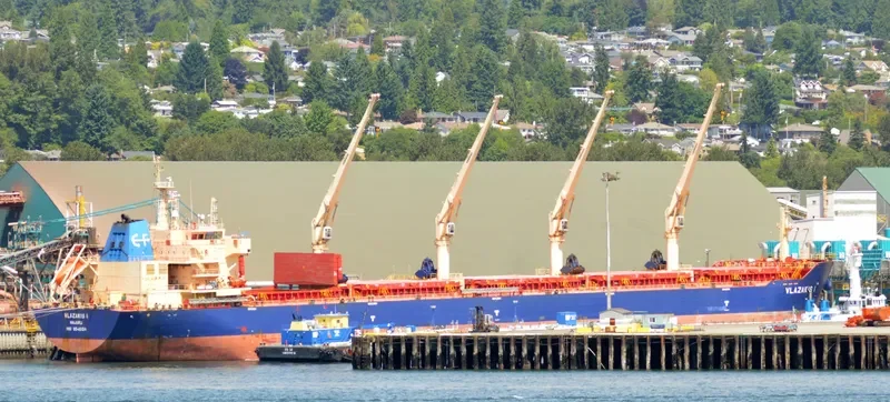NIKITIS Bulk Carrier IMO 9546124 photo 9