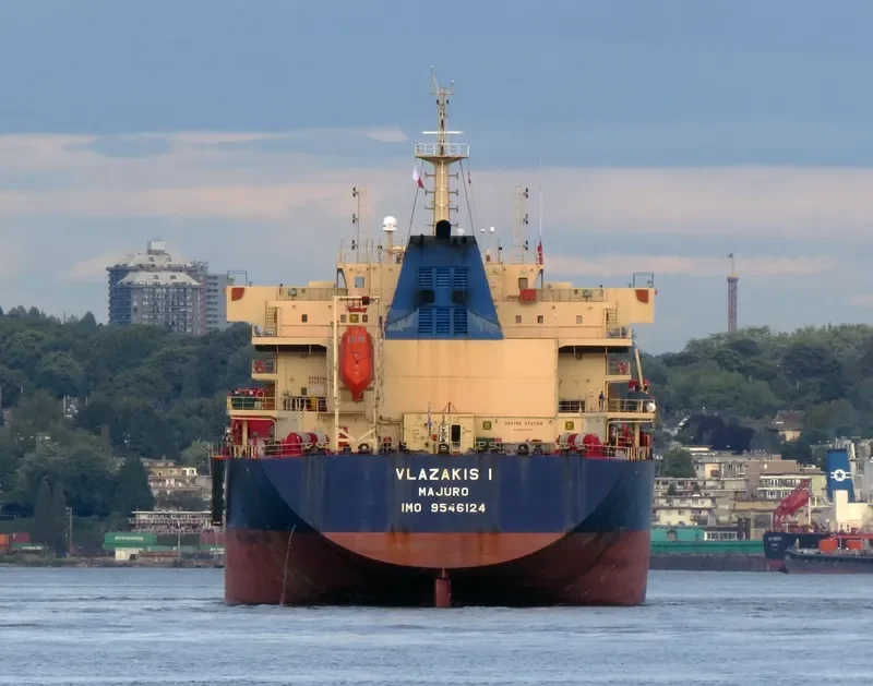 NIKITIS Bulk Carrier IMO 9546124 photo 10