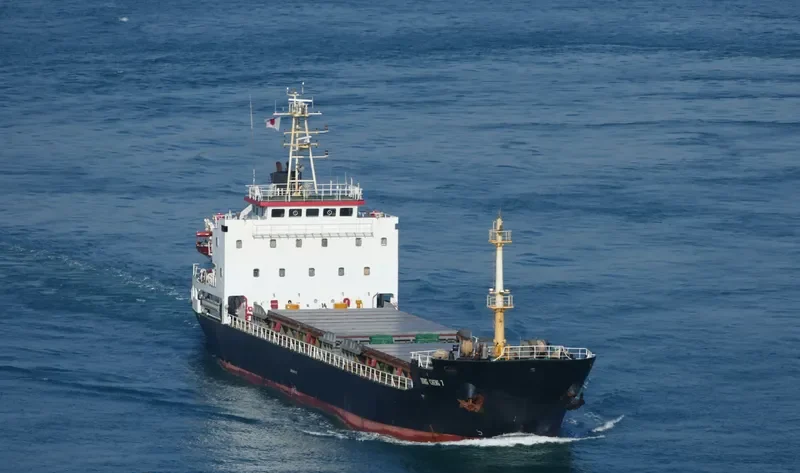 DONG CHENG 7 General Cargo IMO 9546306 photo 8