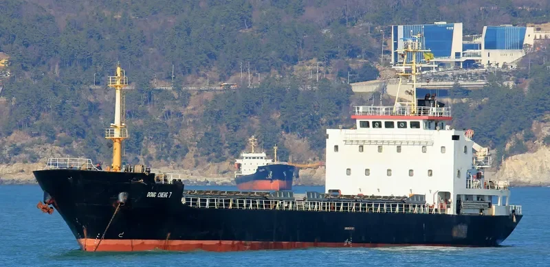 DONG CHENG 7 General Cargo IMO 9546306 photo 10