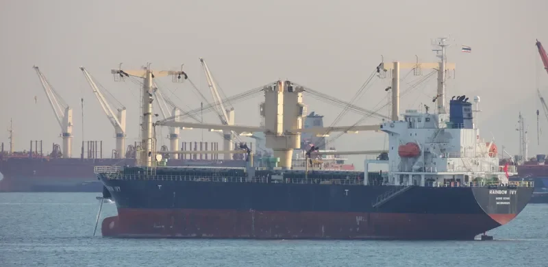 RAINBOW IVY General Cargo IMO 9546320 photo 2
