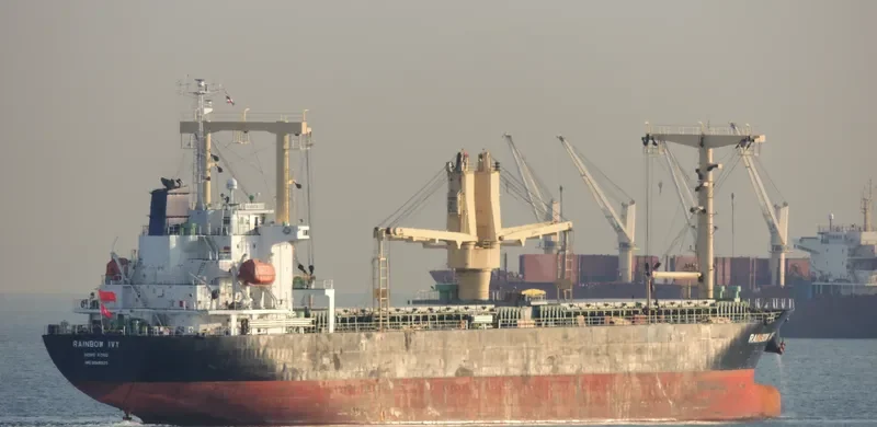 RAINBOW IVY General Cargo IMO 9546320 photo 3
