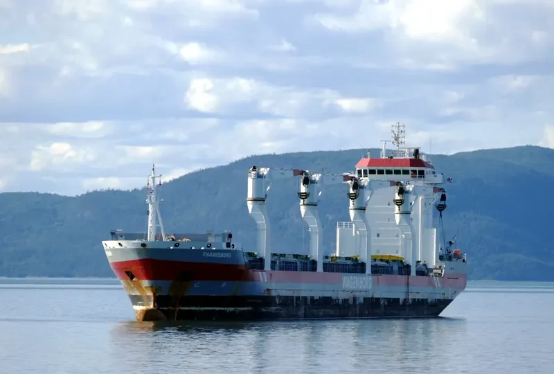 THAMESBORG General Cargo IMO 9546459 photo 8