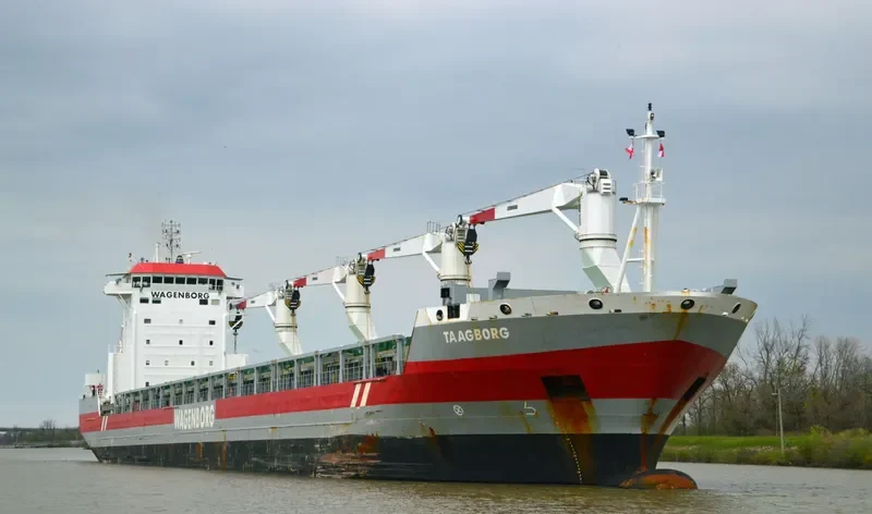 TAAGBORG General Cargo IMO 9546461 photo 6