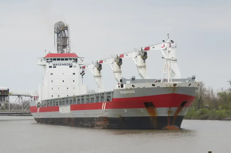TAAGBORG General Cargo IMO 9546461 photo 9