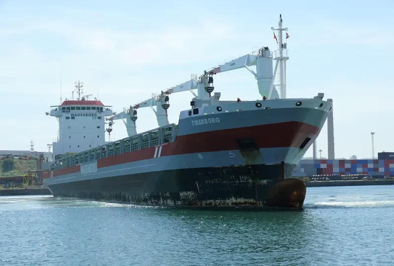TIBERBORG General Cargo IMO 9546473 photo 3
