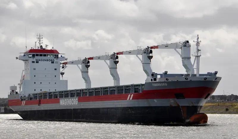 TIBERBORG General Cargo IMO 9546473 photo 8