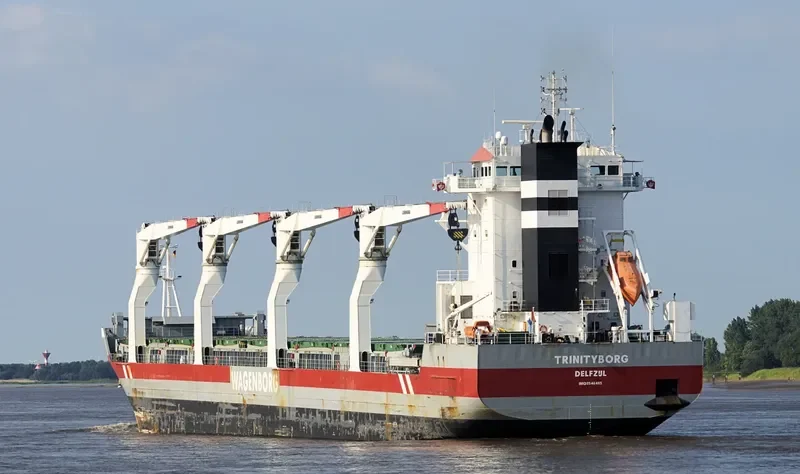 TRINITYBORG General Cargo IMO 9546485 photo 2