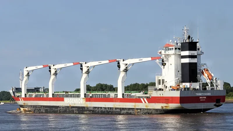 TRINITYBORG General Cargo IMO 9546485 photo 3