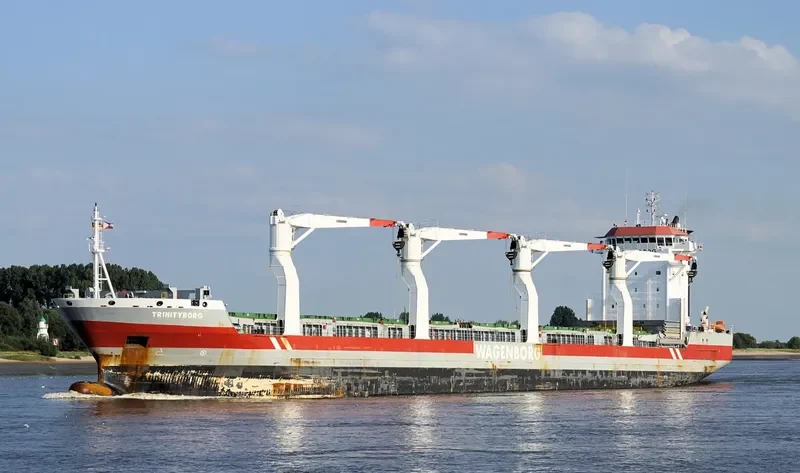 TRINITYBORG General Cargo IMO 9546485 photo 4
