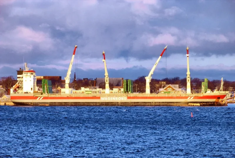 TRINITYBORG General Cargo IMO 9546485 photo 10