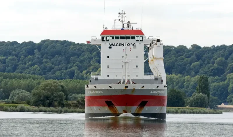 ADRIATICBORG General Cargo IMO 9546497 photo 8