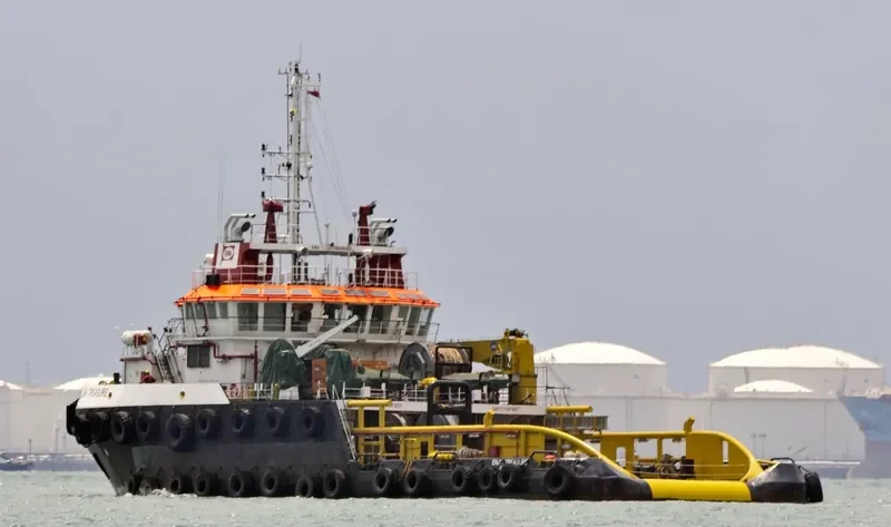 ENA TREASURE General Cargo IMO 9546679