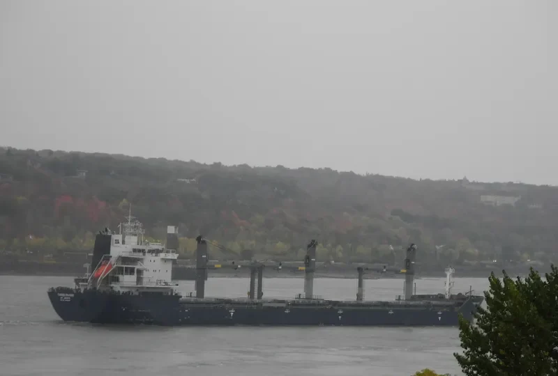 THREE RIVERS Bulk Carrier IMO 9546784 photo 2
