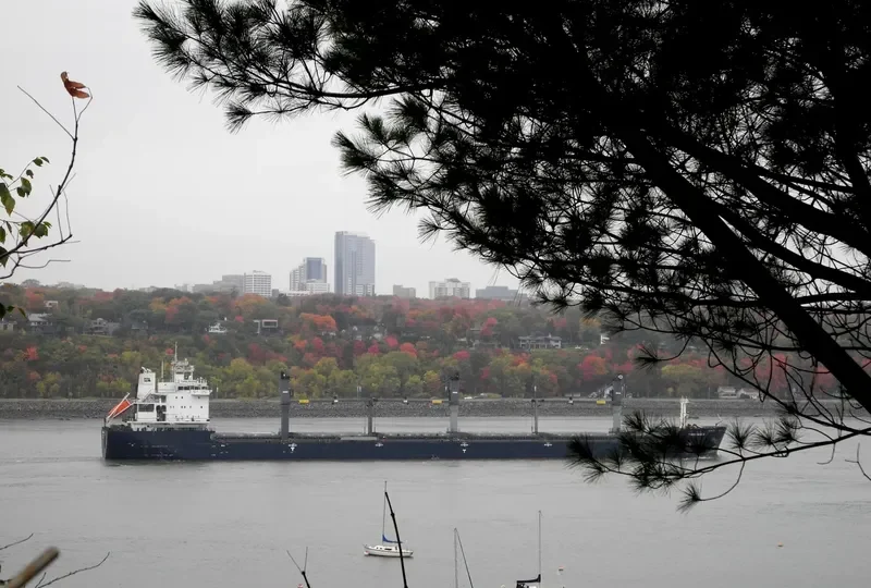 THREE RIVERS Bulk Carrier IMO 9546784 photo 3