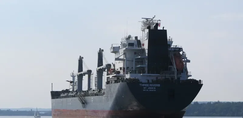 THREE RIVERS Bulk Carrier IMO 9546784 photo 5