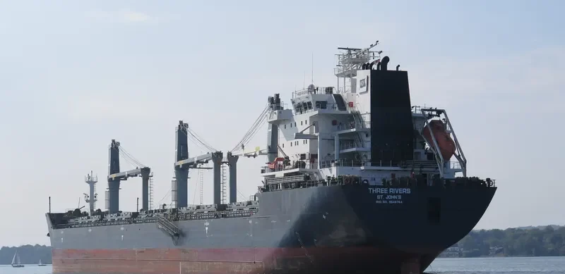 THREE RIVERS Bulk Carrier IMO 9546784 photo 6