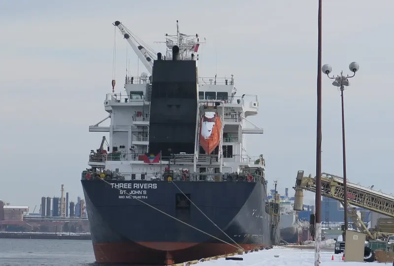 THREE RIVERS Bulk Carrier IMO 9546784 photo 10