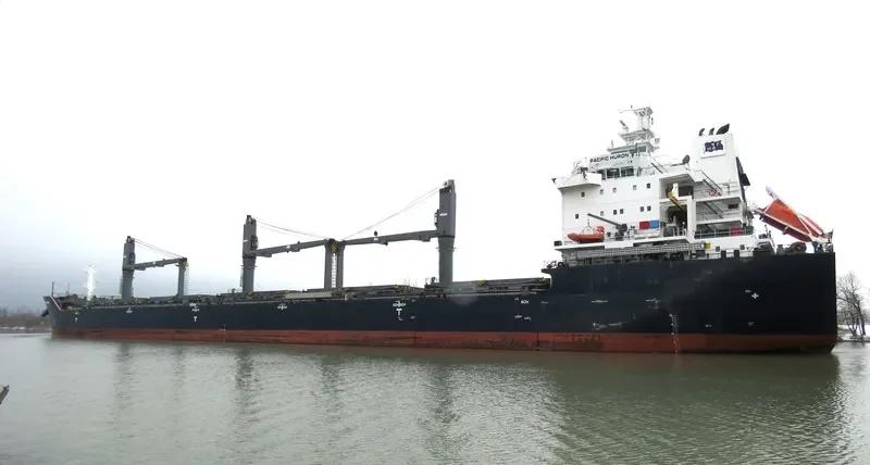 PACIFIC HURON Bulk Carrier IMO 9546796 photo 2