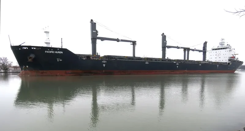 PACIFIC HURON Bulk Carrier IMO 9546796 photo 3