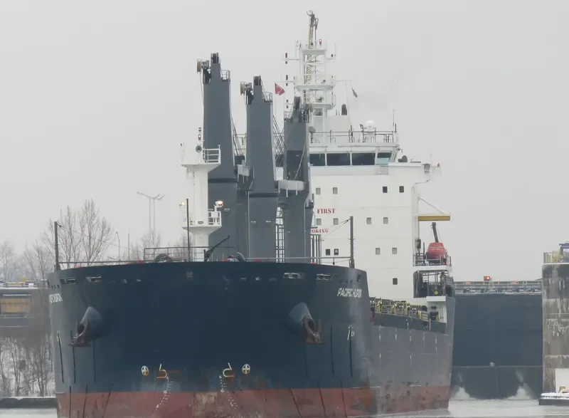 PACIFIC HURON Bulk Carrier IMO 9546796 photo 4