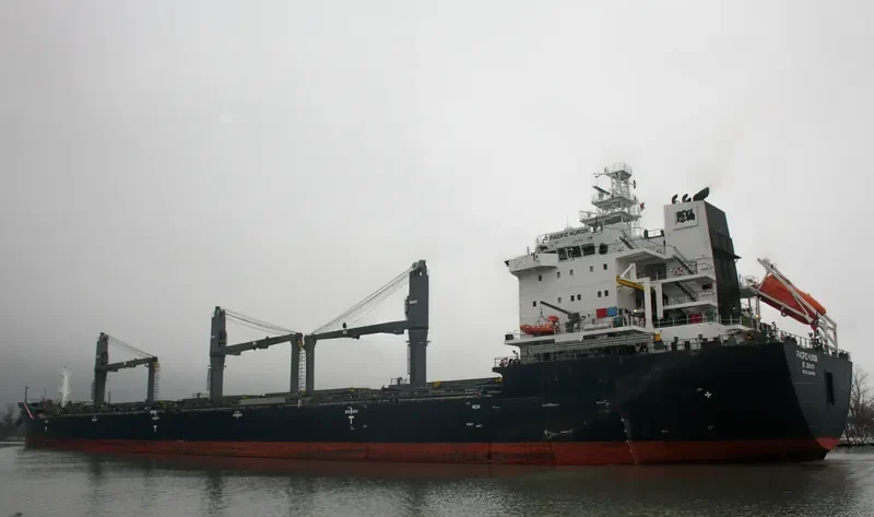 PACIFIC HURON Bulk Carrier IMO 9546796 photo 5