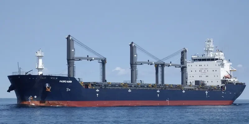 PACIFIC HURON Bulk Carrier IMO 9546796 photo 6