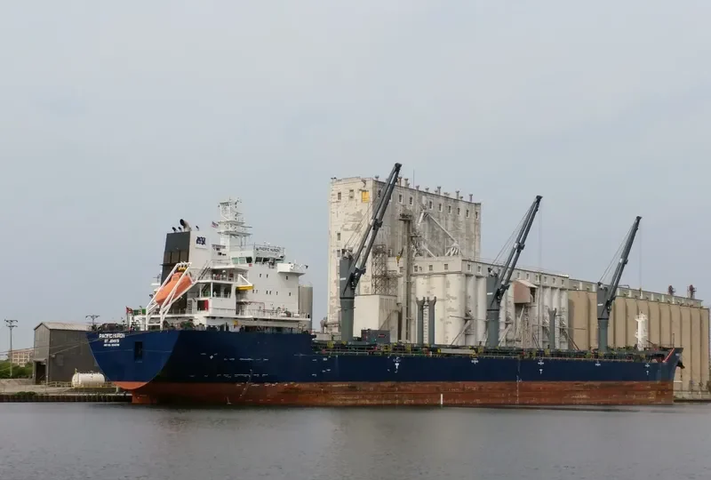 PACIFIC HURON Bulk Carrier IMO 9546796 photo 7